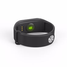 Load image into Gallery viewer, Pulse Fitness Band