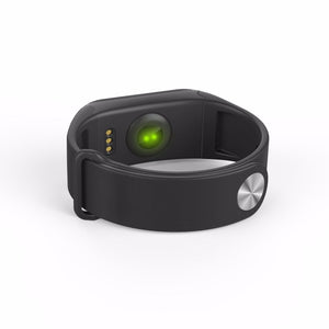 Pulse Fitness Band